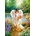 Castorland - Puzzle Gelsinger: An angel's warmth - 500 piese