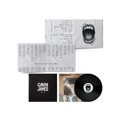 Gavin James - Goldrush LP