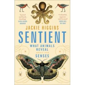Sentient | HIGGINS JACKIE (ISBN: 9781529030815)