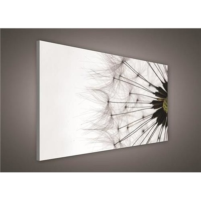 Obraz na plátně pampeliška 412O1, 100 x 75 cm, IMPOL TRADE