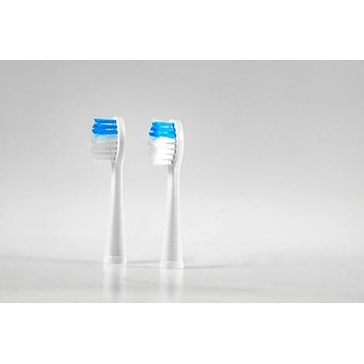 Camry Комплект Четки за Зъби за CR 2158 Camry CR 2158.1 (CR 2158.1)