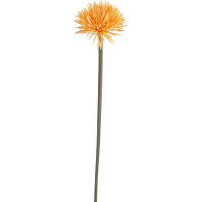 Umelá dekoratívne kvetina Púpava - 10 * 10 * 68 cm - J-Line by Jolipa