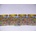TM Toys Nasty 8-Pack Figure (UGL19409)
