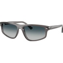 Ray-Ban RB2225 667532