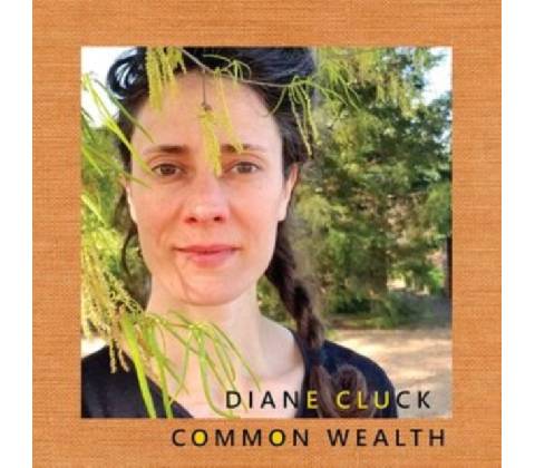 Common Wealth - Diane Cluck CD