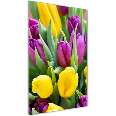 Vertikálny foto obraz fotografie na skle Farebné tulipány 50x100 cm