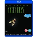 The Fly BD