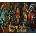 Dungeons & Dragons: Enhanced Classics Bundle