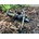 Zfish Black Hawk SG 8000