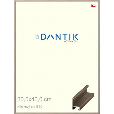 DANTIK rám na obraz 30 x 40 champagne
