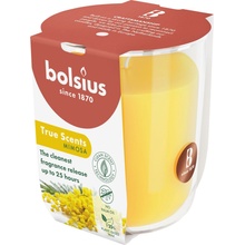 Bolsius True Scents Mimosa 73 x 80 mm