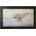 - Gepard | 44.0x72.0
