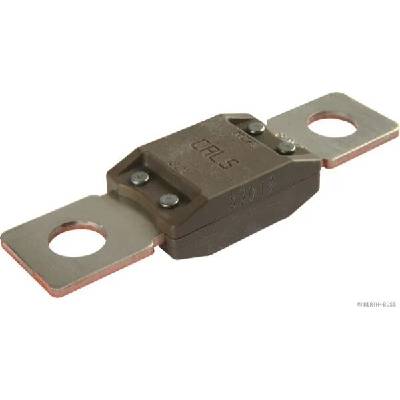 Pojistka HERTH+BUSS ELPARTS 50295845