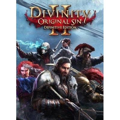 Divinity: Original Sin 2 (Definitive Edition)