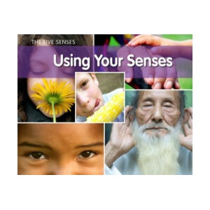 Using Your Senses | Rebecca Rissman (ISBN: 9781432954956)