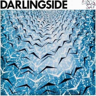 Darlingside - Birds Say LP