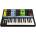 Moog Grandmother