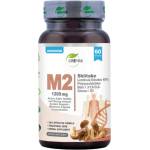 Grewia M2 | Shiitake - Lentinula Edodes 40% Polysaccharides - Beta 1.3 600 mg [60 капсули]