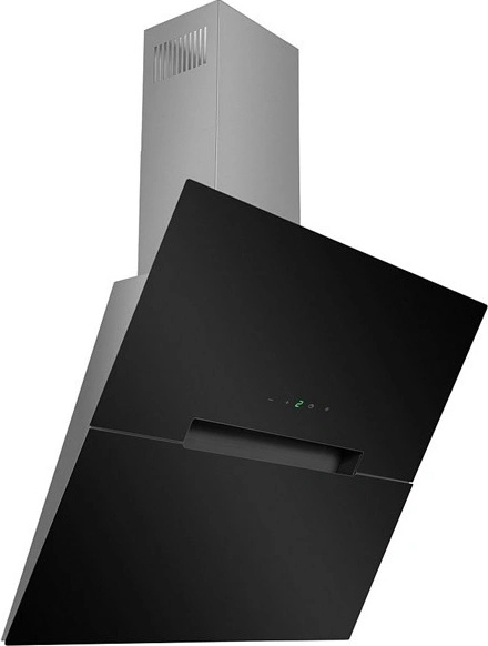 Guzzanti NSA 60