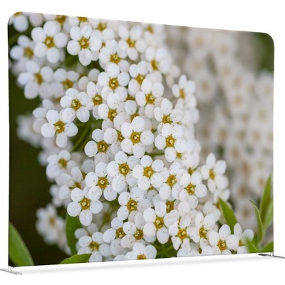 Jansen Display Oboustranný Bílé květiny Spirea 150 x 150 cm