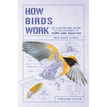 How Birds Work Taylor Marianne