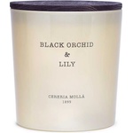 Cereria Mollá Ароматна свещ Cereria Molla - Black Orchid & Lily, 600 g (6643)