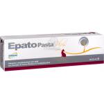 Epato Plusz паста 2 x 15 мл