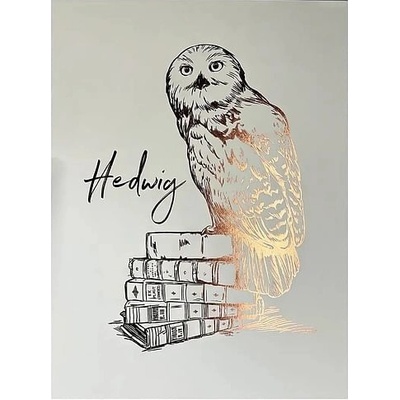imago Obraz Harry Potter - Hedviga