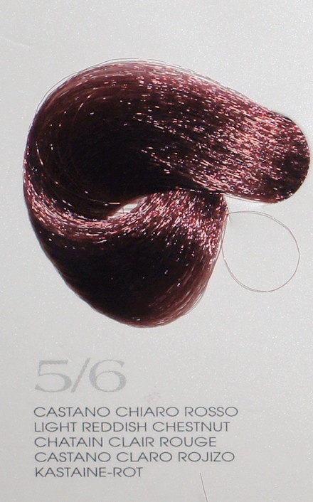 Vitality's Tone 5/6 Kastanienrot – 100 Ml Ton-in-Ton Farbcreme Ohne Ammoniak | Für Strahlende Reflexe & Perfekte Grauabdeckung