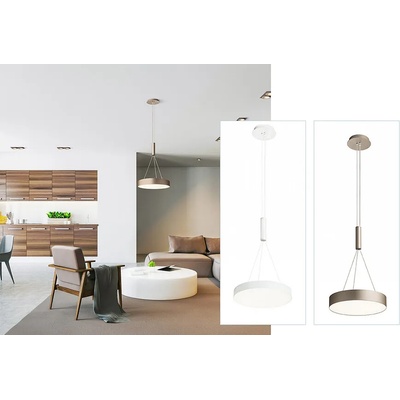 Rendl light studio Висяща лампа LARISA R 30 (rls/LARISA R 30/ceiling)