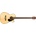 Fender CB-60SCE Bass