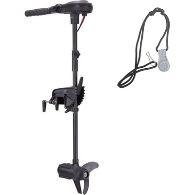 Haswing Protruar 1.0 65LB 12V