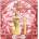 Jean Paul Gaultier Gaultier Divine комплект 2 части 100 мл - EDP