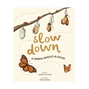 Slow Down (ISBN: 9781419748387)