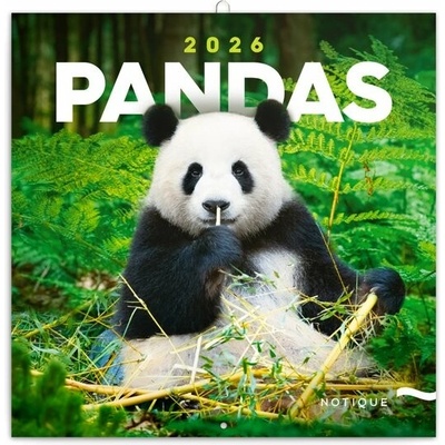 Poznámkový Pandy nástěnný 2026