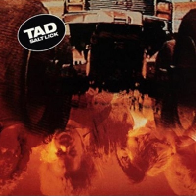 Salt Lick - Tad LP