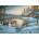 Cobble Hill - Puzzle A Quiet Place - 1 000 piese