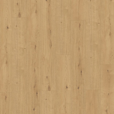 Parador Modular one Hydron Dub atmosphere prírodné autentická štruktúra 1744839 2,02 m²
