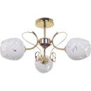 Image 1 of Rábalux Fauna 5098