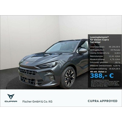 Cupra Terramar 1.5 eTSI DSG 110 kW