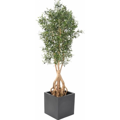 Luxusní umělý strom OLIVOVNÍK ROOT na desce, 175cm