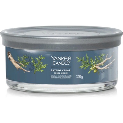 Yankee Candle Signature tumbler Bayside Cedar 340 g – Hledejceny.cz