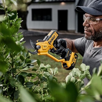 Image 1 of DEWALT DCMPP568N-XJ