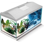 AQUAEL Aквариум Aquael Leddy Day&Night Plus 60 - бял (7059)