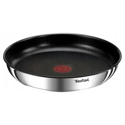 Tefal Panvica Ingenio Emotion 24 cm s nepriľnavým povrchom, strieborná