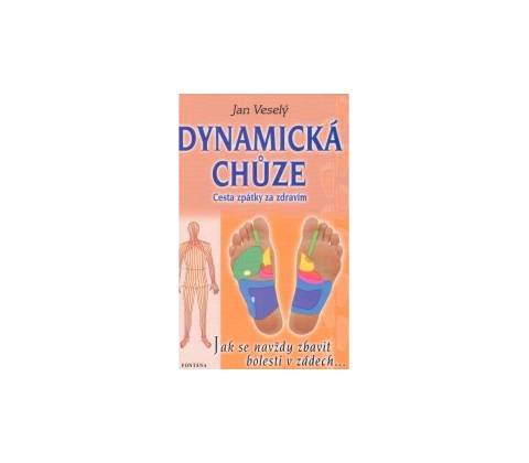 Dynamická chůze