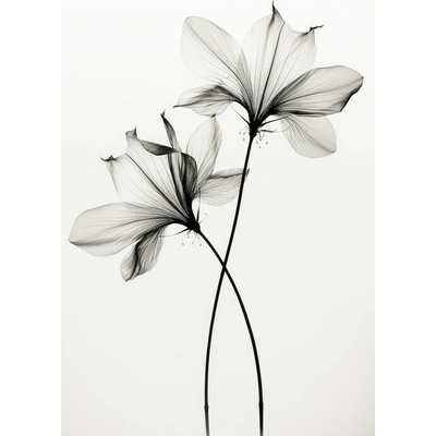 Plagát, Obraz - Transparent Botanic No 6, Treechild, 26.7 × 40 cm