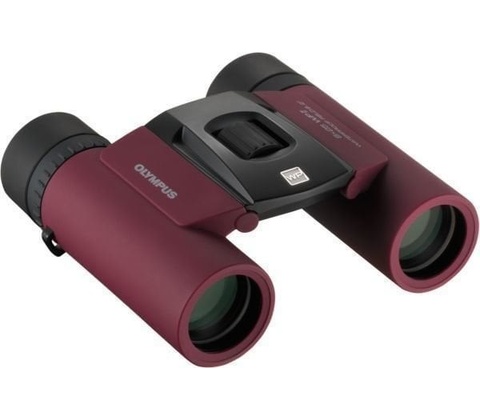 OM SYSTEM 8x25 WP II