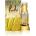 Ahmed Al Maghribi Bani EDP 40 ml