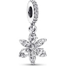 Pandora 792382C01